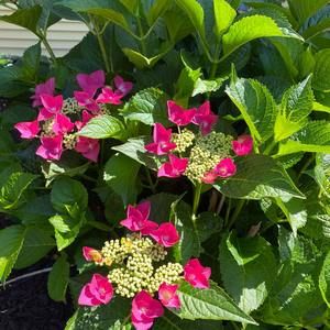 Meet your Posher, Mary